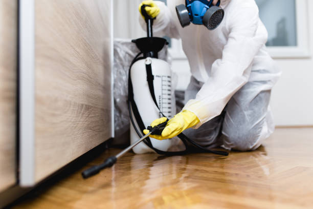 Best Flea Control Services  in Merryville, LA