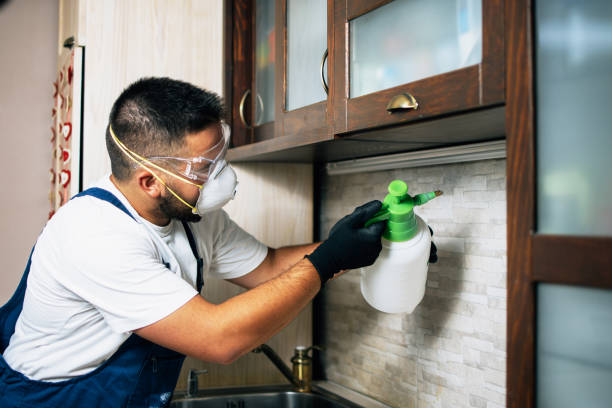 Best Affordable Exterminators  in Merryville, LA