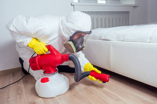 Professional Pest Control in Merryville, LA